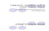 Fimosis, Hidrocele y Criptorquidea