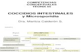 TEORIA 5 Coccidios y Microsporidium 2011