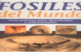 Fósiles del Mundo: Yacimientos.