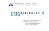 Practicum II 580 (Una)