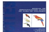 Manual Dentificacion de Aves Cites Colombia