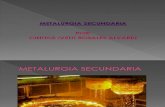 Metalurgia Secundaria CINTY