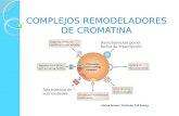 COMPLEJOS REMODELADORES DE CROMATINA - LEYDI.pptx