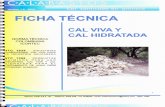 84549776 Ficha Tecnica Cal Viva e Hidratada 1
