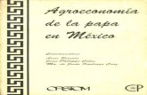 Agronomia de La Papa en Mexico