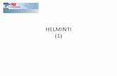 Helminti (1) Handout