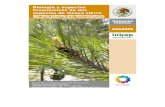 Biología y aspectos taxonómicos de dos especies de mosca sierra de los pinos en Chihuahua