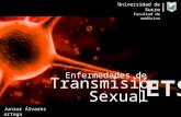 Enfermedades de transmision sexual UdeSucre