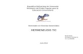 Hermeneusis TIC Enrique D´Armas 2014