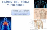 Exámen del tórax y pulmones