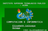 Elisabeth Programacion