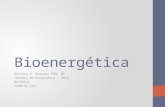 Curso Bioquímica 13-Bioenergética