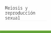 Meiosis y reproducción sexual