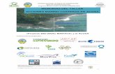 Oviedo L. et al. (2011). Ecología de cetáceos en Golfo Dulce: densidad relativa, distribución y uso de hábitat como aspectos claves para sustenar estrategias de manejo y conservación.