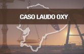 Enlace Ciudadano Nro. 292 - CASO LAUDO OXY