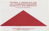Teoria y práctica de la administración pública en México