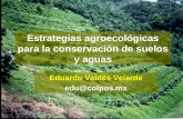 ESTRATEGIAS AGROECOLÓGICAS PARA LA CONSERVACIÓN DE SUELOS Y AGUAS