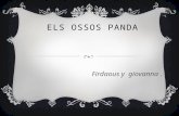 Els ossos pandas by Giovanna & Firdaous
