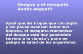 Dengue y mosquito