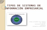 Tipos de Sistemas de Información Empresarial