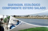 Enlace ciudadano Nro 326 tema: guayaquil ecologico