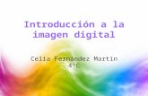 Introducción a la imagen digital