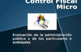 Auditoria   (CONTROL FISCAL MICRO)