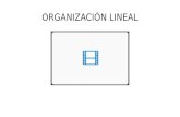 Tarea 37. organizacion lineal... division del trabajo