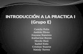 Introducción a la practica 1 Grupo E