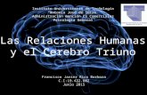 Relaciones humanas y el cerebro triuno