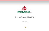 Expo foro pemex 2012