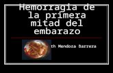 Hemorragia de-la-primera-mitad-del-embarazo-1205805136849853-2