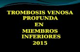 Clase de trombosis venosa profunda 2015