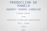 PROCESO DE PRODUCCIÓN DE PANELA