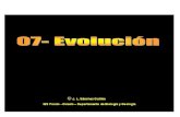 8vo teorias-evolucion