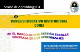 Consejo Educativo Institucional-CONEI