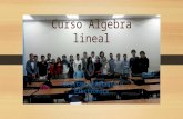 Curso algebra-lineal