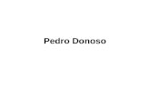 Pedro Donoso