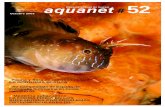 Aquanet 52 - / Fauna y flora de nuestras costas LA GORGONIA BLANCA / XV Campeonato de España de Fotografía Submarina en Ceuta.