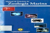Manual de Prácticas de Zoología Marina