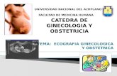 Catedra de ginecologia y obstetricia final2222