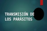 Transmisión de-los-parásitos