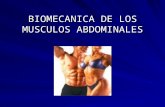 Biomecanica del abdomen