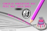 PEIC CE NSC 2014 2015