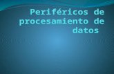 Perifericos de prosesamiento de datos