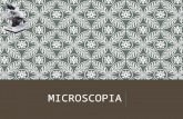 Histologia -  Microscopia  UPAP