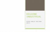 Higiene industrial ECCI