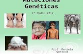 Mutaciones genéticas 2° medio
