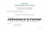 Campaña Institucional: Bridgestone