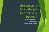Anatomía y fisiología gástrica y duodenal